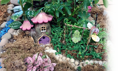 greenhouse-fairy-garden-image
