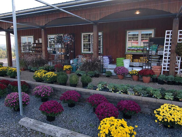 Florist, Greenhouse, and Garden Center Roaring Spring, PA Roots in