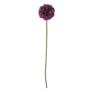 22 inch dark purple pincushion stem